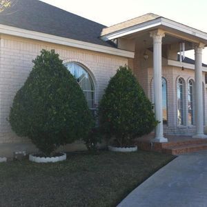 Meet your Posher, Roy